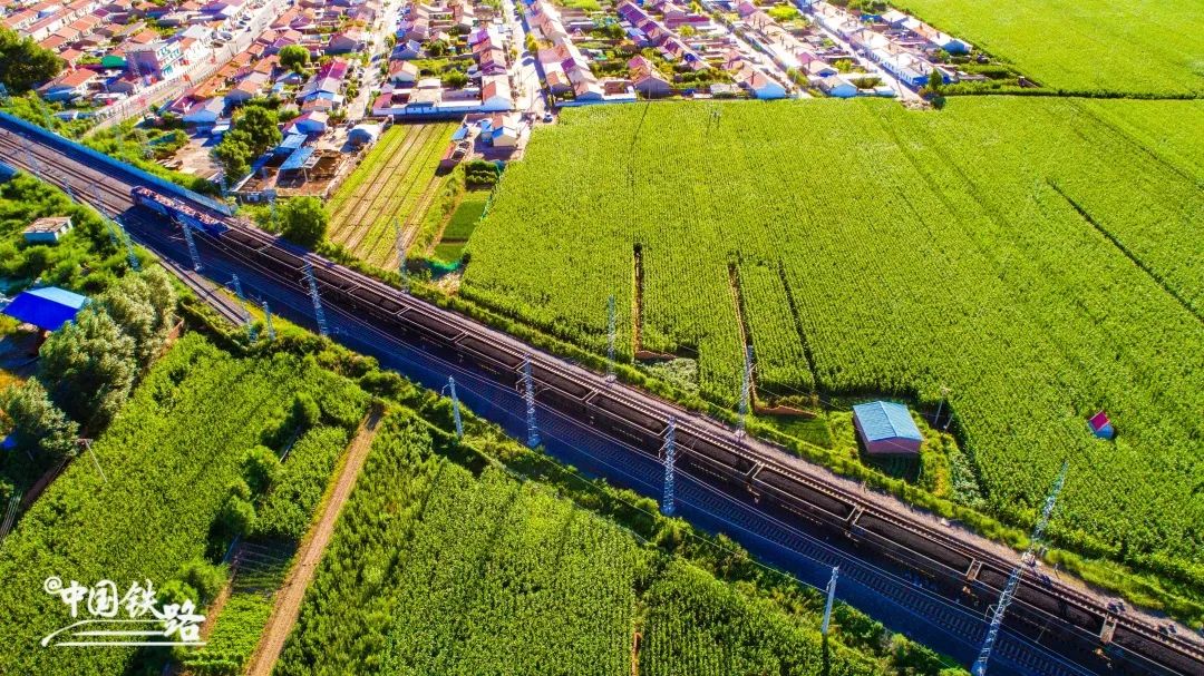 1666775562123354.jpg 3.jpg